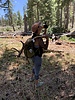 photo thumbnail #10