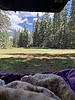 photo thumbnail #12