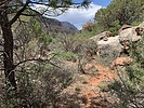 photo thumbnail #9