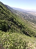 photo thumbnail #10