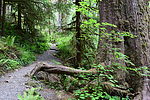 photo thumbnail #10