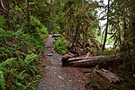 photo thumbnail #14