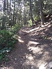 photo thumbnail #9
