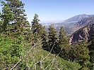photo thumbnail #12