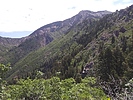 photo thumbnail #11