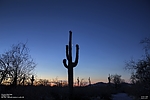 photo thumbnail #8