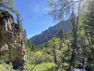 photo thumbnail #4