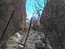 photo thumbnail #3