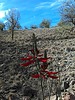 photo thumbnail #15