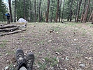 photo thumbnail #8