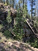 photo thumbnail #12