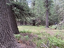 recent photo