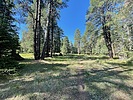 recent photo