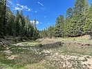 recent photo
