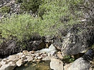 photo thumbnail #7
