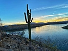 photo thumbnail #11