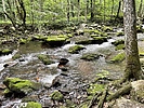 photo thumbnail #10