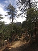 photo thumbnail #15
