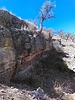 photo thumbnail #12