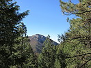 photo thumbnail #9