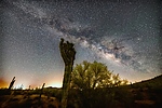 photo thumbnail #2