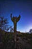 photo thumbnail #10