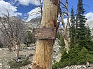 photo thumbnail #13