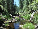 photo thumbnail #11