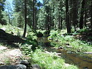 photo thumbnail #12
