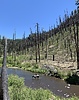 photo thumbnail #6