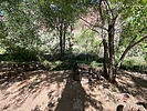 recent photo