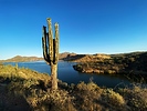 photo thumbnail #2