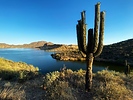 photo thumbnail #3
