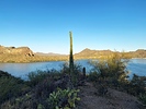 photo thumbnail #5