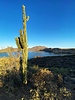 photo thumbnail #7