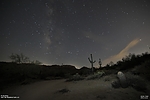 photo thumbnail #2