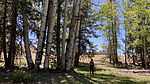 photo thumbnail #8
