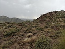 photo thumbnail #12