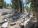 photo thumbnail #9