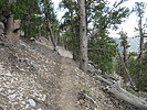 photo thumbnail #8
