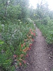 photo thumbnail #4