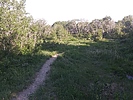 photo thumbnail #7