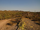 photo thumbnail #4