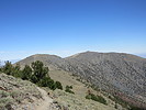 photo thumbnail #14