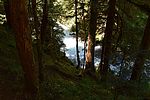 photo thumbnail #14