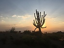 photo thumbnail #1