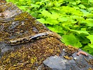 photo thumbnail #9