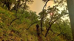 photo thumbnail #2