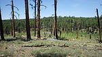 photo thumbnail #9