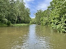 photo thumbnail #3